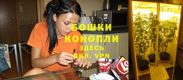 ешки Алексин