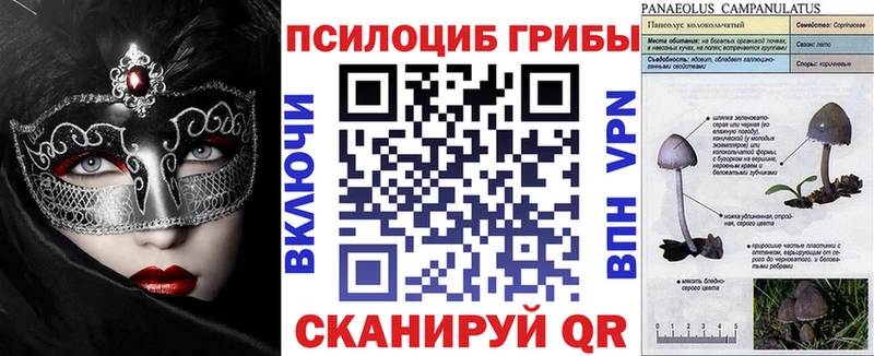 сколько стоит  Верхоянск  МЕГА tor  Галлюциногенные грибы Magic Shrooms 